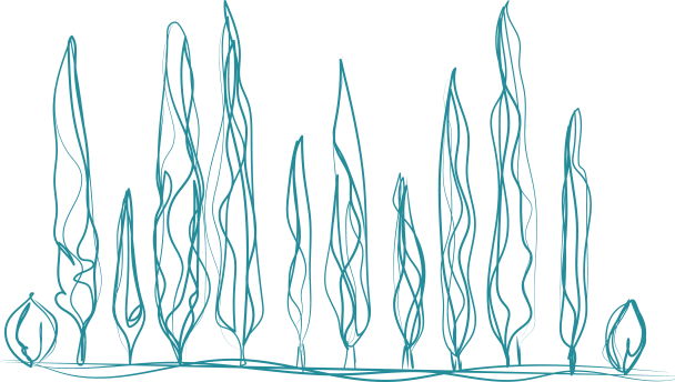 Homemade fresh Italian pasta dish